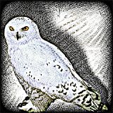 Residents, The - Animal Lover