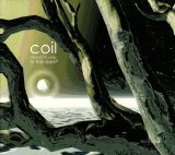 Coil - Musick To Play In The Dark 2