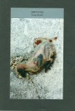Crepuscule - Closing Wounds