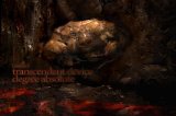 Transcendent Device - Degree Absolute