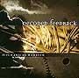 Decoded Feedback - Mechanical Horizon