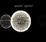 Mystified - Vagabond