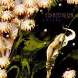 Synaesthesia - Embody