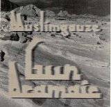 Muslimgauze - Gun Aramaic