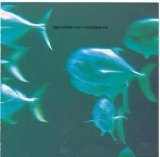 Bass Communion  vs. Muslimgauze - Bass Communion V Muslimgauze