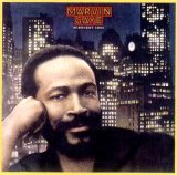 Marvin Gaye - Midnight Love