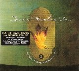 Sarah McLachlan - Rarities, B-Sides, and Other Stuff Vol. 2