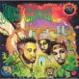 Jungle Brothers - Done By the Forces of Nature