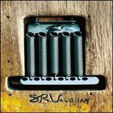 Stevie Ray Vaughan - S R V