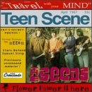 Seeds - Travel With Your Mind