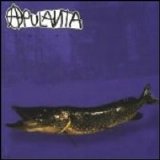 Apulanta - Kolme