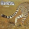 Apulanta - Liikaa