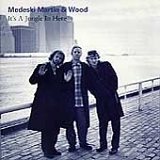 Medeski, Martin & Wood - It's A Jungle In Here