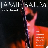 Jamie Baum - sight unheard