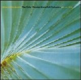 Mike Gibbs - The Only Chrome Waterfall Orchestra
