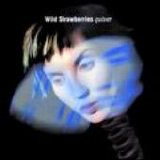 Wild Strawberries - Quiver