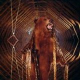 My Morning Jacket - It Still Moves