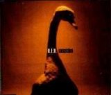 R.E.M. - Suspicion