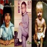Everclear - Sparkle And Fade