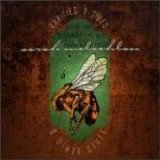 McLachlan, Sarah - Rarities, B-sides & Other Stuff