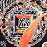 Live - The Distance to Here