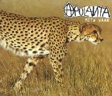 Apulanta - Mitä vaan