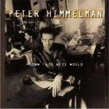 Peter Himmelman - Flown This Acid World
