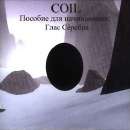 Coil - A Guide For Beginners: A Silver Voice