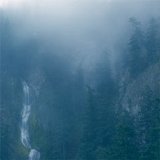 Wolves in the Throne Room - Diadem of 12 Stars