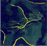 Thuja - Jewelled Antler Library, Vol. 10: Fable