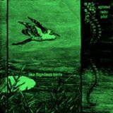 Agitated Radio Pilot - Like Flightless Birds