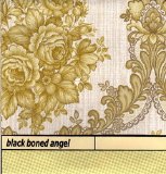 Black Boned Angel - Unknown Album