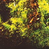 Richard Youngs & Tirath Singh Nirmala - Richard Youngs & Tirath Singh Nirmala