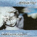 Pineapple Thief - Variations On A Dream