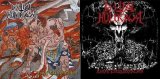 Bestial Holocaust - Final Extermination