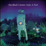 The Black Crowes - Only A Fool [Single]