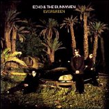 Echo & The Bunnymen - Evergreen