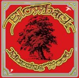 Blowback - Morning Wood