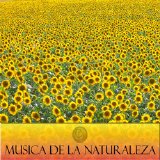 Various artists - Música de la Naturaleza Disco 4
