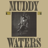 Muddy Waters - King Bee [2004 expanded]