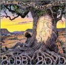 Bobby Boyd - The Honky Tonk Tree - 2001 - 192kbs