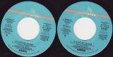 A Flock Of Seagulls - (It's Not Me) Talking (Mono)/(It's Not Me) Talking (Stereo) (US)