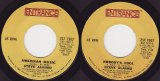 Steve Alaimo - Amerikan Music/Nobody's Fool (US)