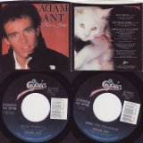 Adam Ant - Puss 'N Boots/Kiss The Drummer (US Picture Sleeve)