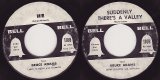 Bruce Adams - He/Suddenly There's A Valley (US)