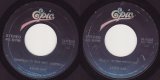 Adam Ant - Desperate But Not Serious/Why Do Girls Love Horses? (US)