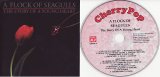 A Flock Of Seagulls - The Story Of A Young Heart (EU)