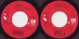 Bryan Adams - Can't Stop This Thing We Started/(Everything I Do) I Do It For You (US)