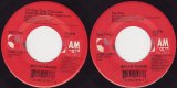 Bryan Adams - The Only Thing That Looks Good On Me Is You/Hey Elvis (US)