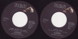 Alabama - Lady Down On Love/Lovin' Man (US)